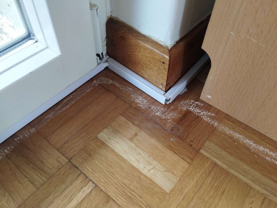 ameisen_vertreiben_bekaempfen_entfernen