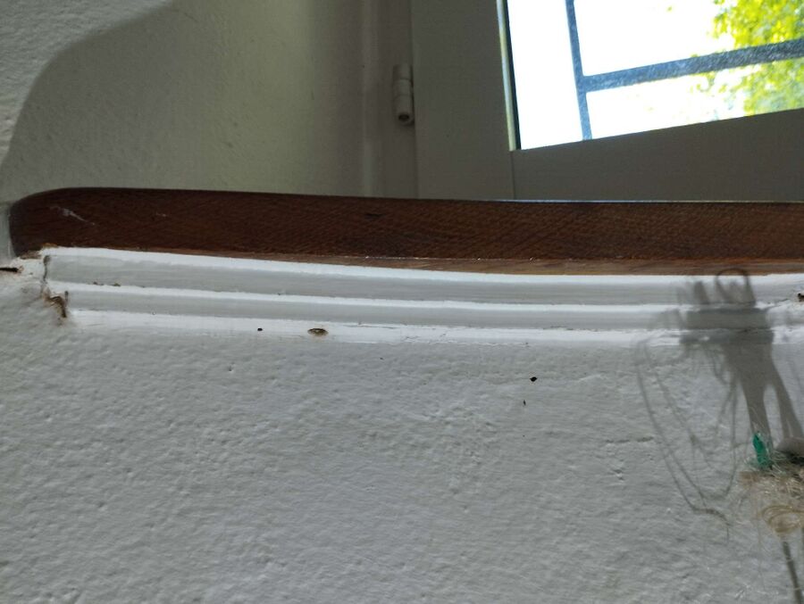 ameisen_vertreiben_bekaempfen_entfernen