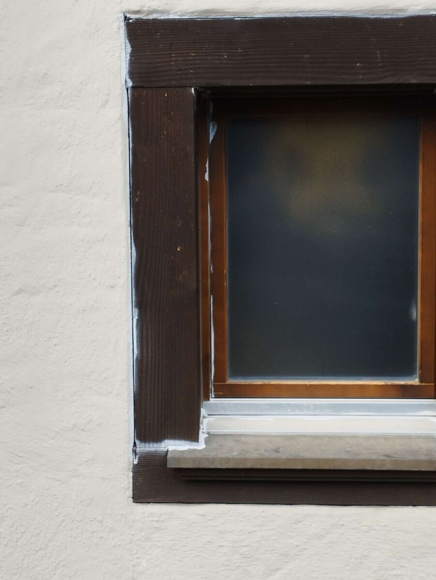 ameisen_vertreiben_bekaempfen_entfernen