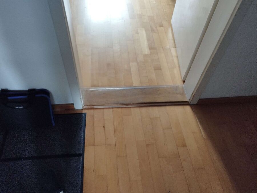 ameisen_vertreiben_bekaempfen_entfernen