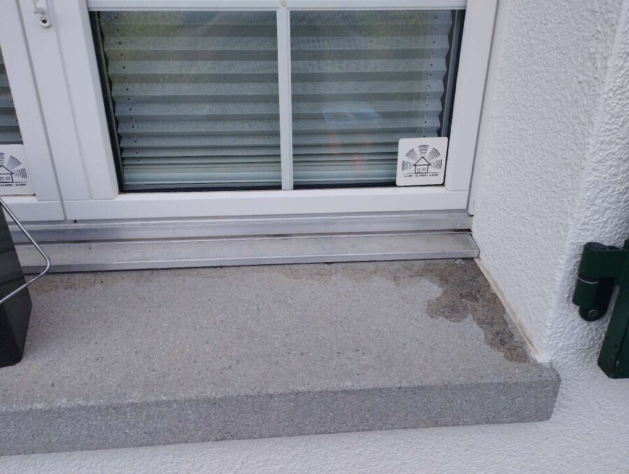 ameisen_vertreiben_bekaempfen_entfernen