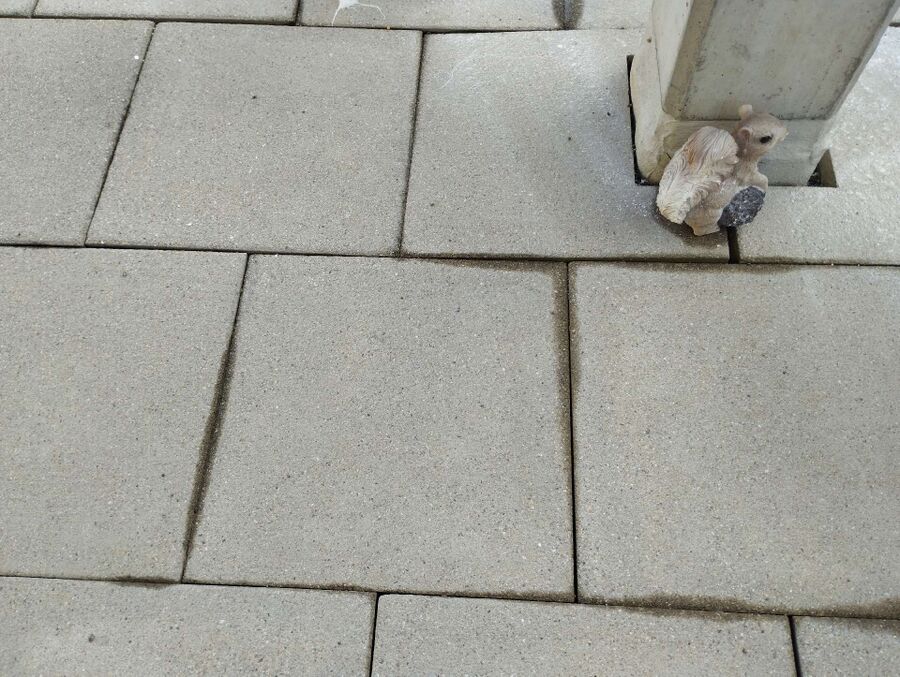 ameisen_vertreiben_bekaempfen_entfernen