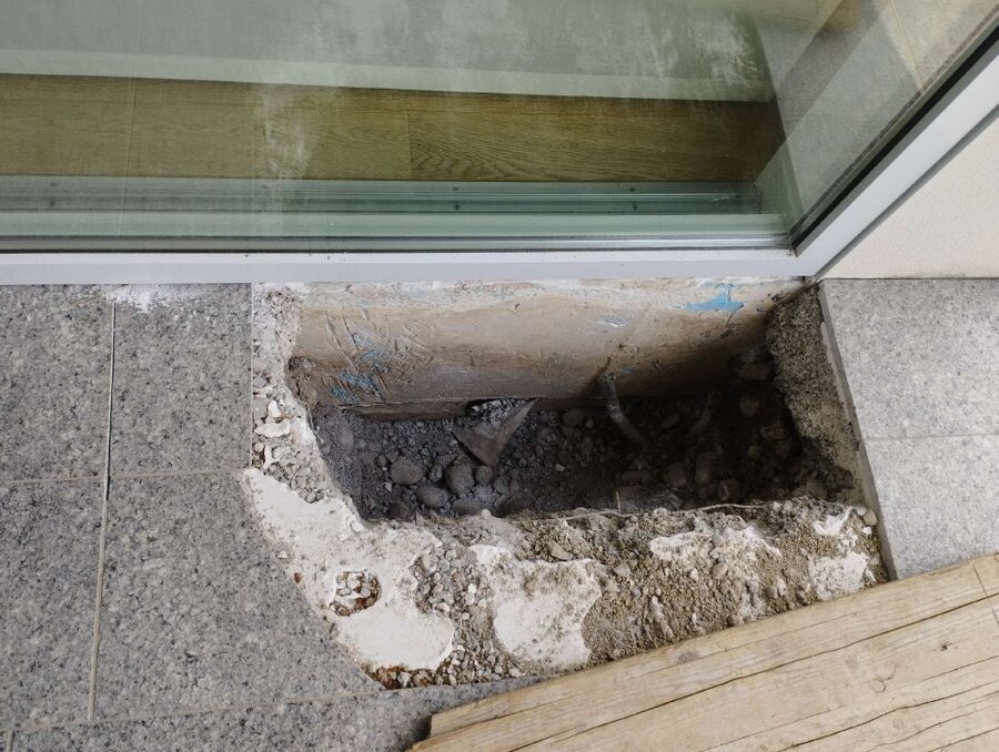 ameisen_vertreiben_bekaempfen_entfernen