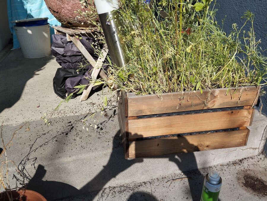 ameisen_vertreiben_bekaempfen_entfernen