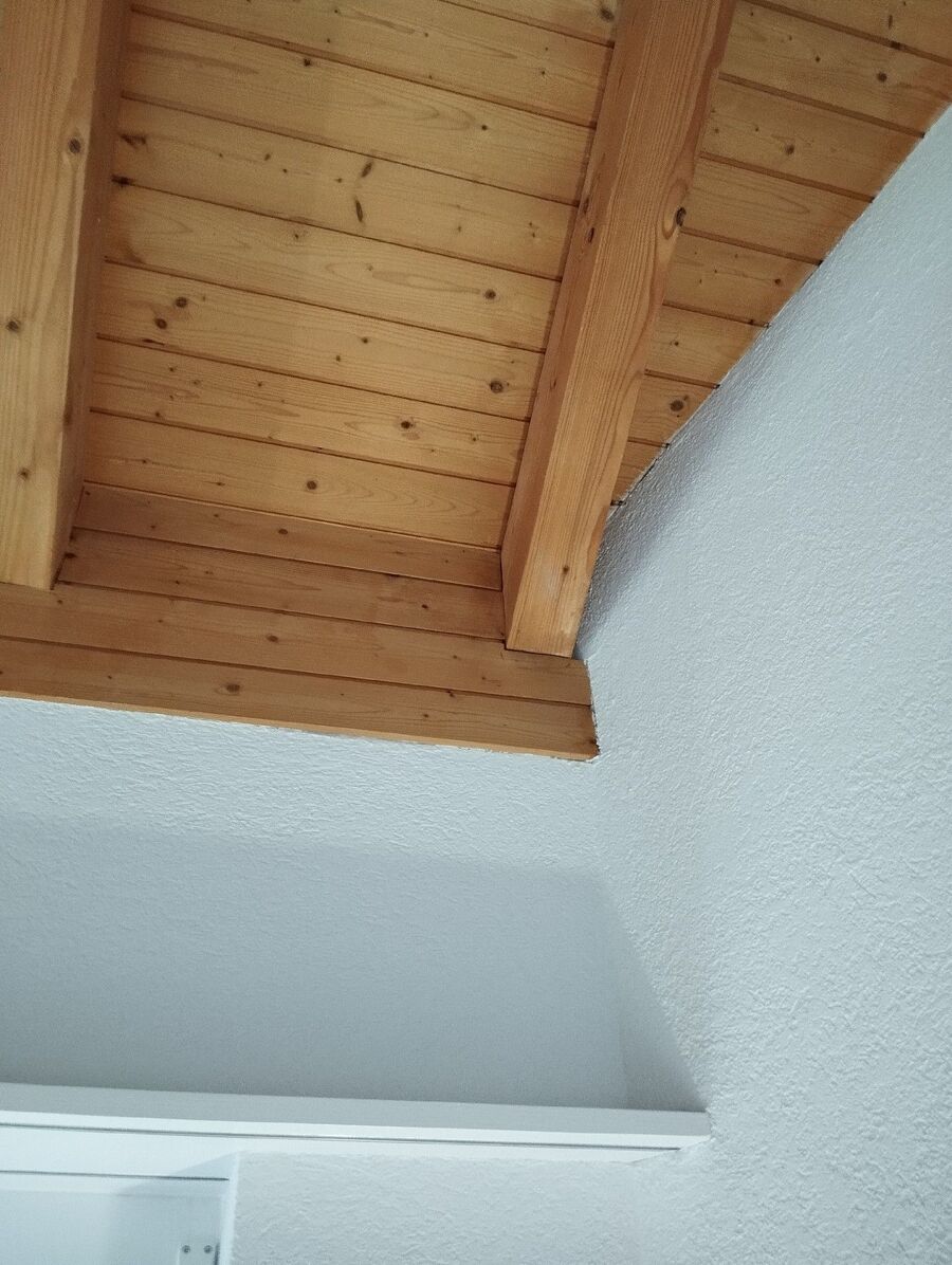 ameisen_vertreiben_bekaempfen_entfernen