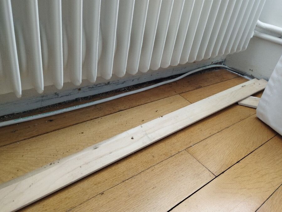 ameisen_vertreiben_bekaempfen_entfernen