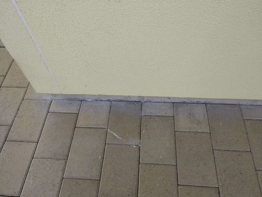 ameisen_vertreiben_bekaempfen_entfernen