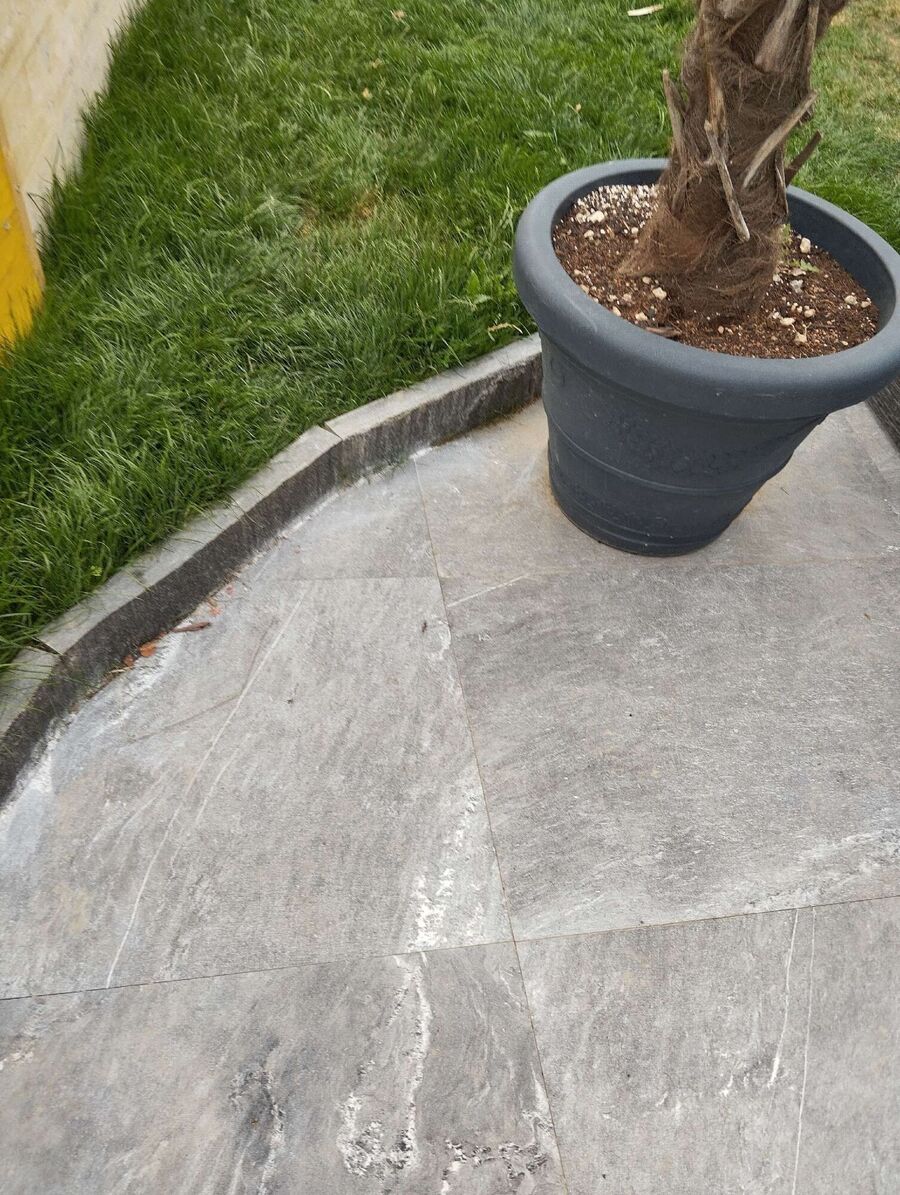 ameisen_vertreiben_bekaempfen_entfernen