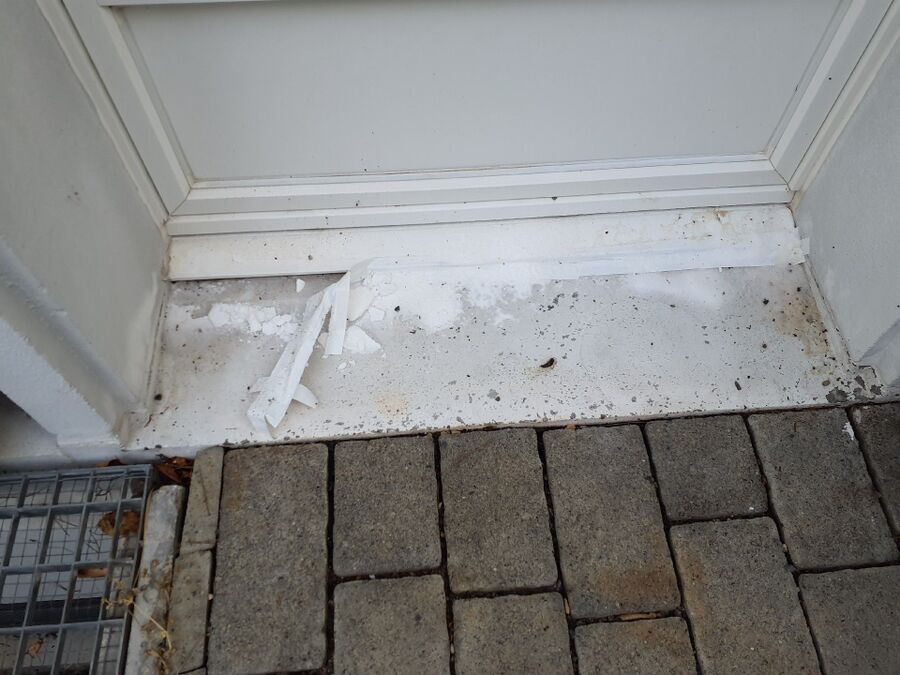 ameisen_vertreiben_bekaempfen_entfernen