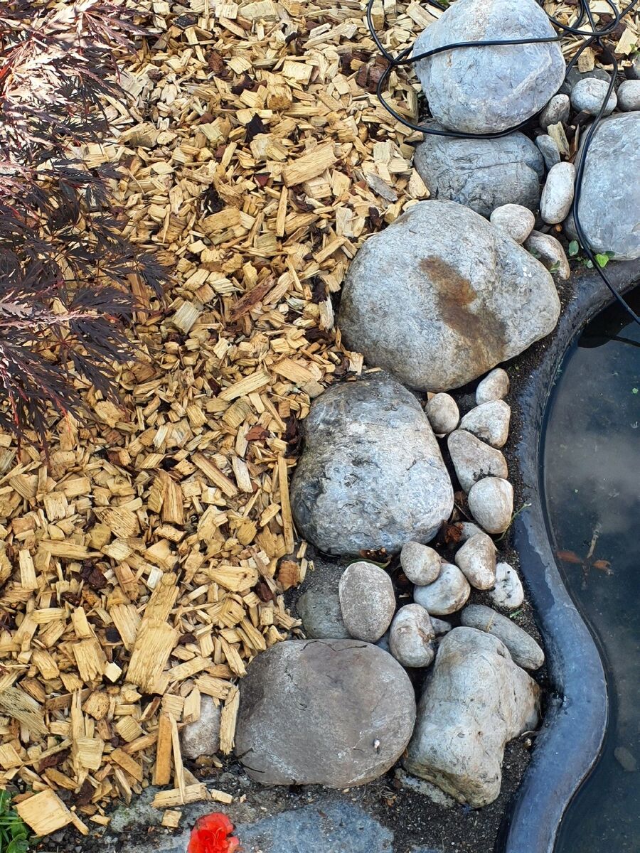 ameisen_vertreiben_bekaempfen_entfernen