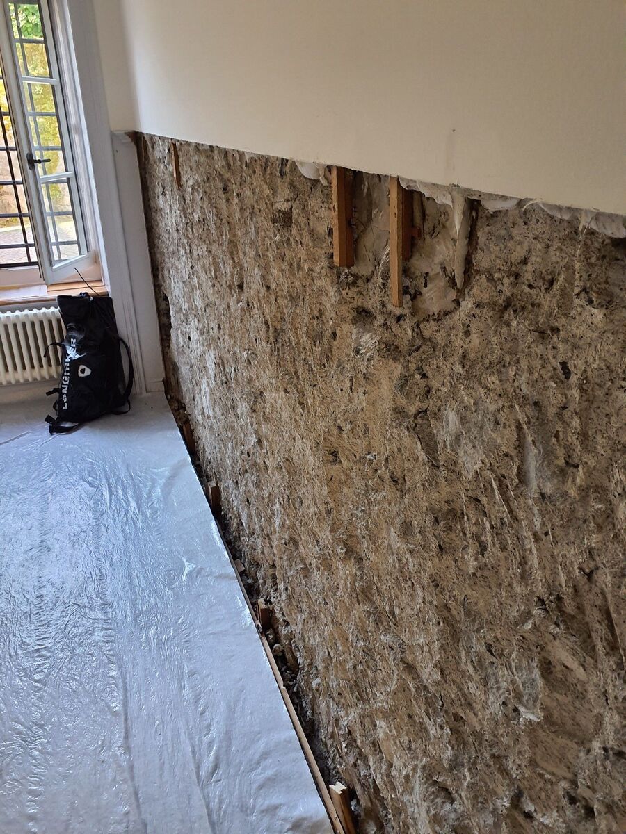 ameisen_vertreiben_bekaempfen_entfernen