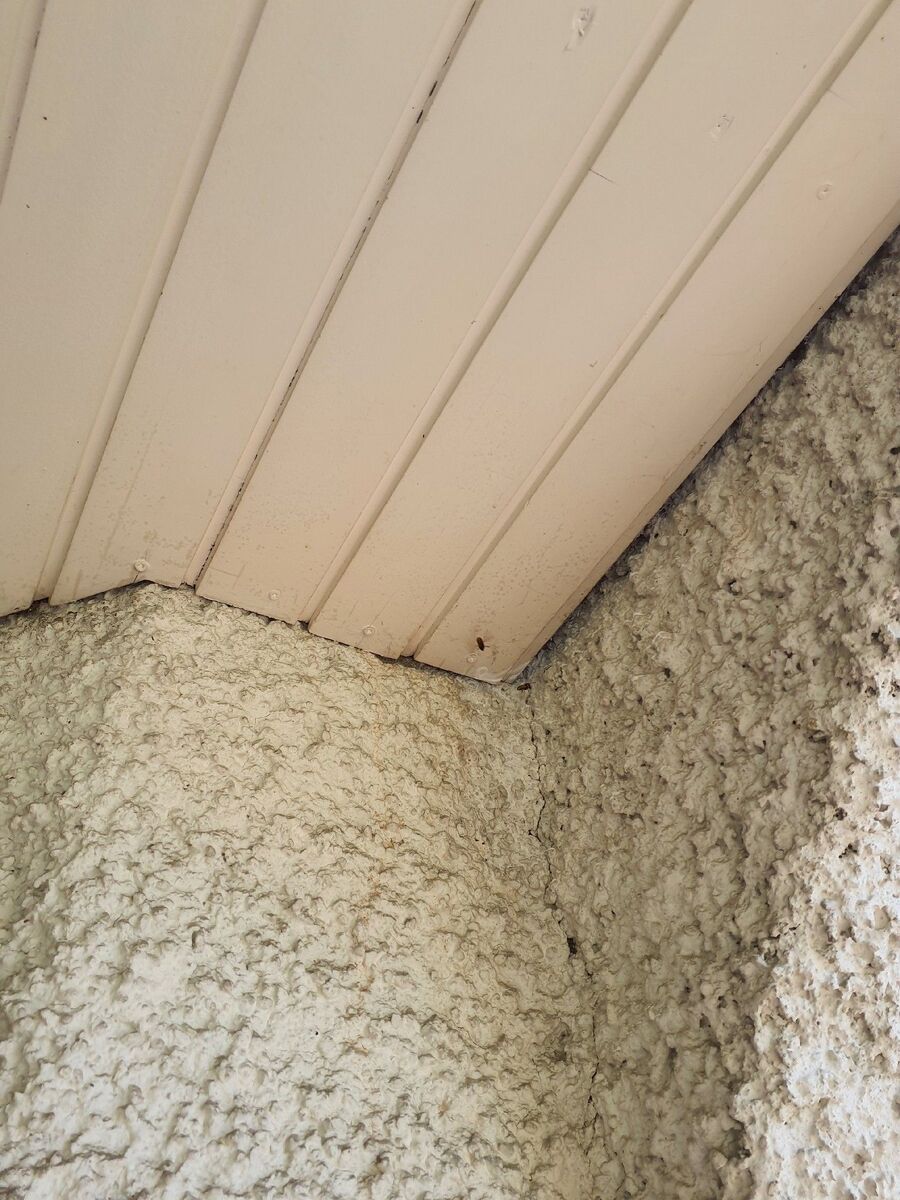 ameisen_vertreiben_bekaempfen_entfernen