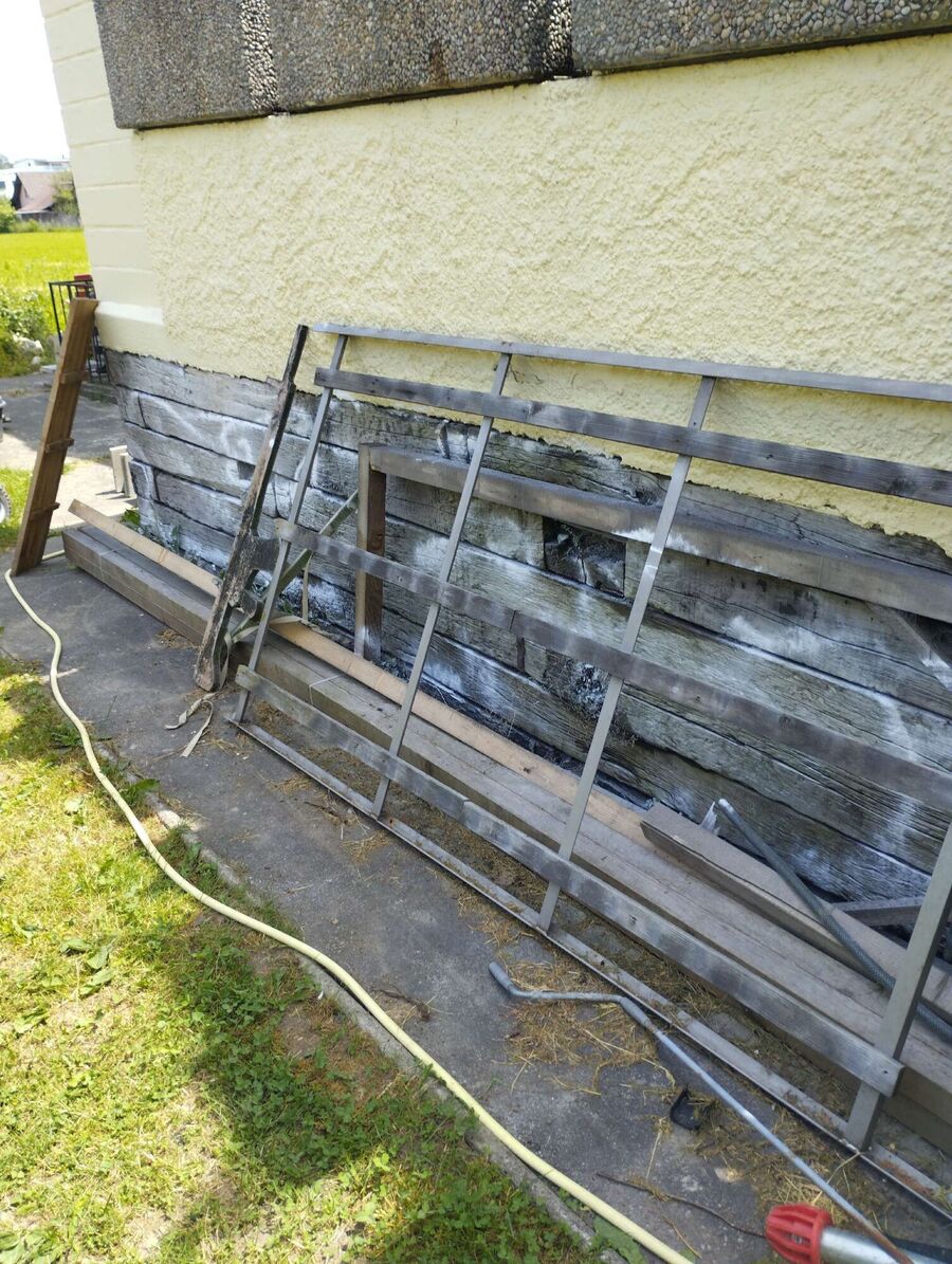 ameisen_vertreiben_bekaempfen_entfernen