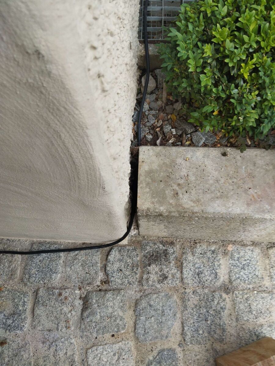 ameisen_vertreiben_bekaempfen_entfernen