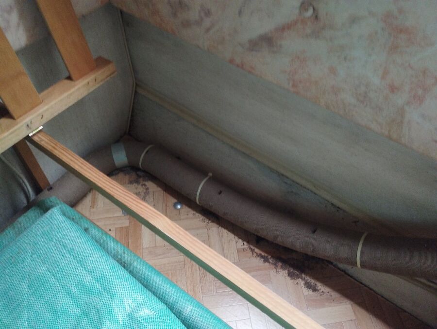 ameisen_vertreiben_bekaempfen_entfernen