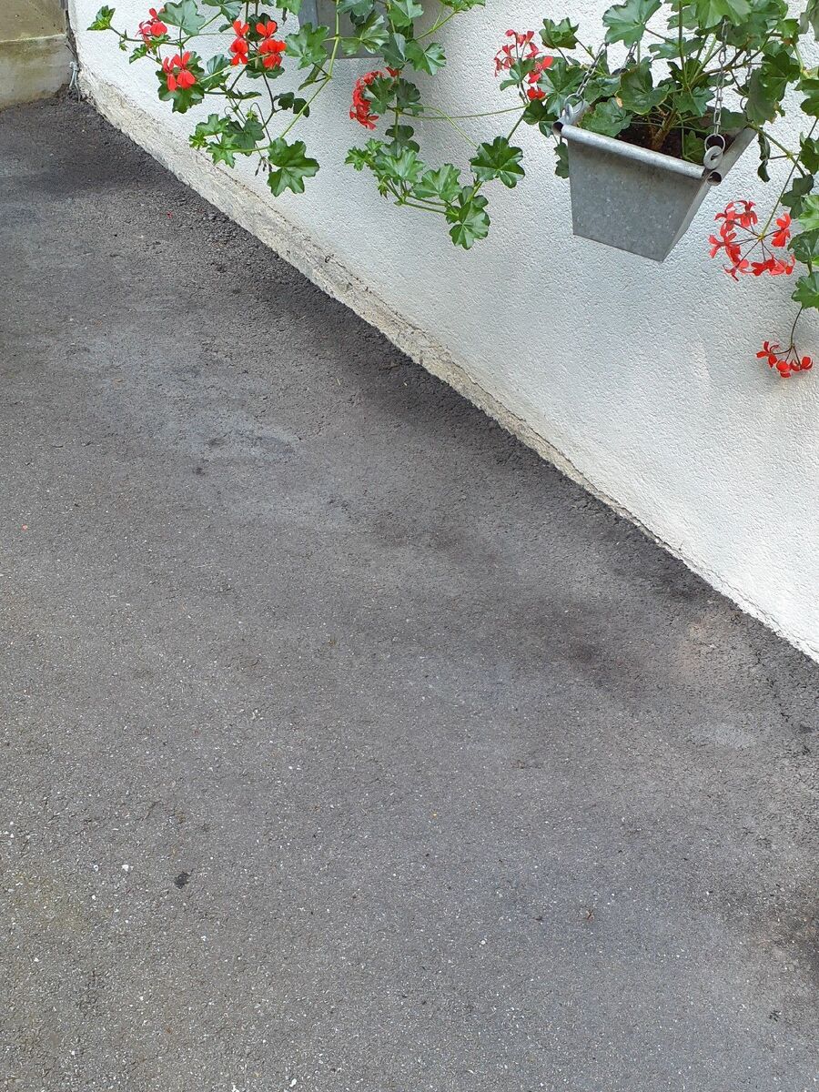 ameisen_vertreiben_bekaempfen_entfernen