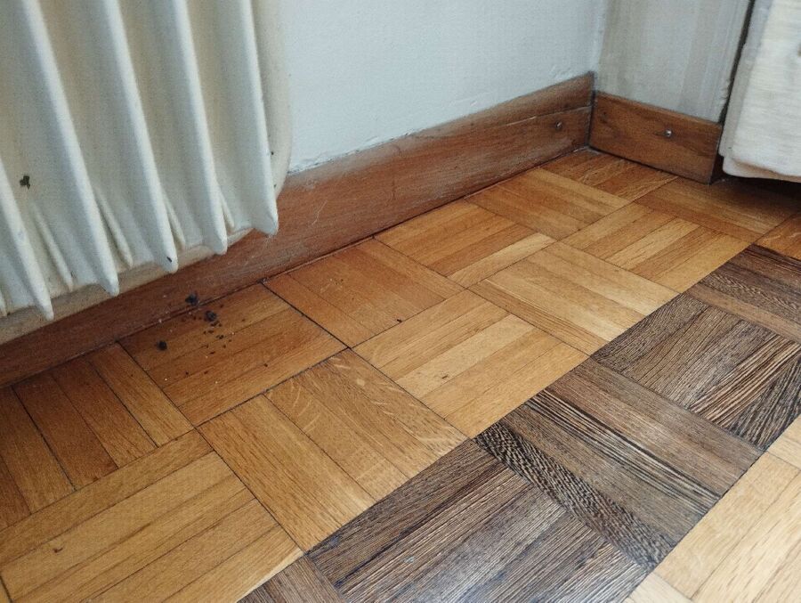 ameisen_vertreiben_bekaempfen_entfernen