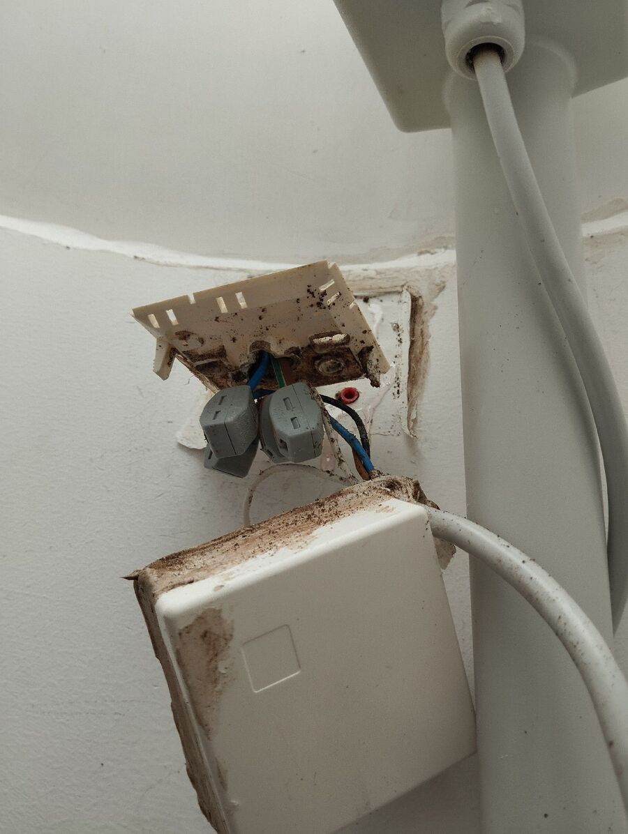 ameisen_vertreiben_bekaempfen_entfernen