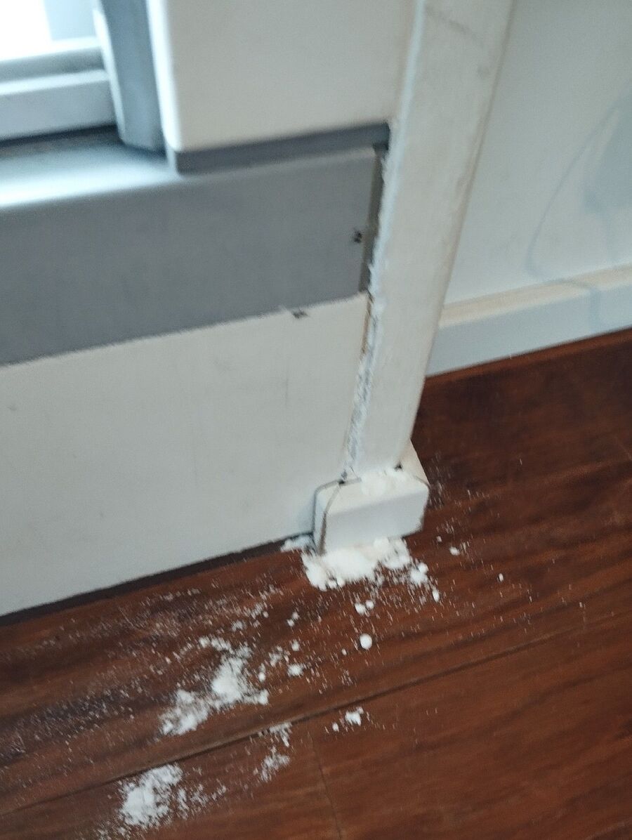 ameisen_vertreiben_bekaempfen_entfernen