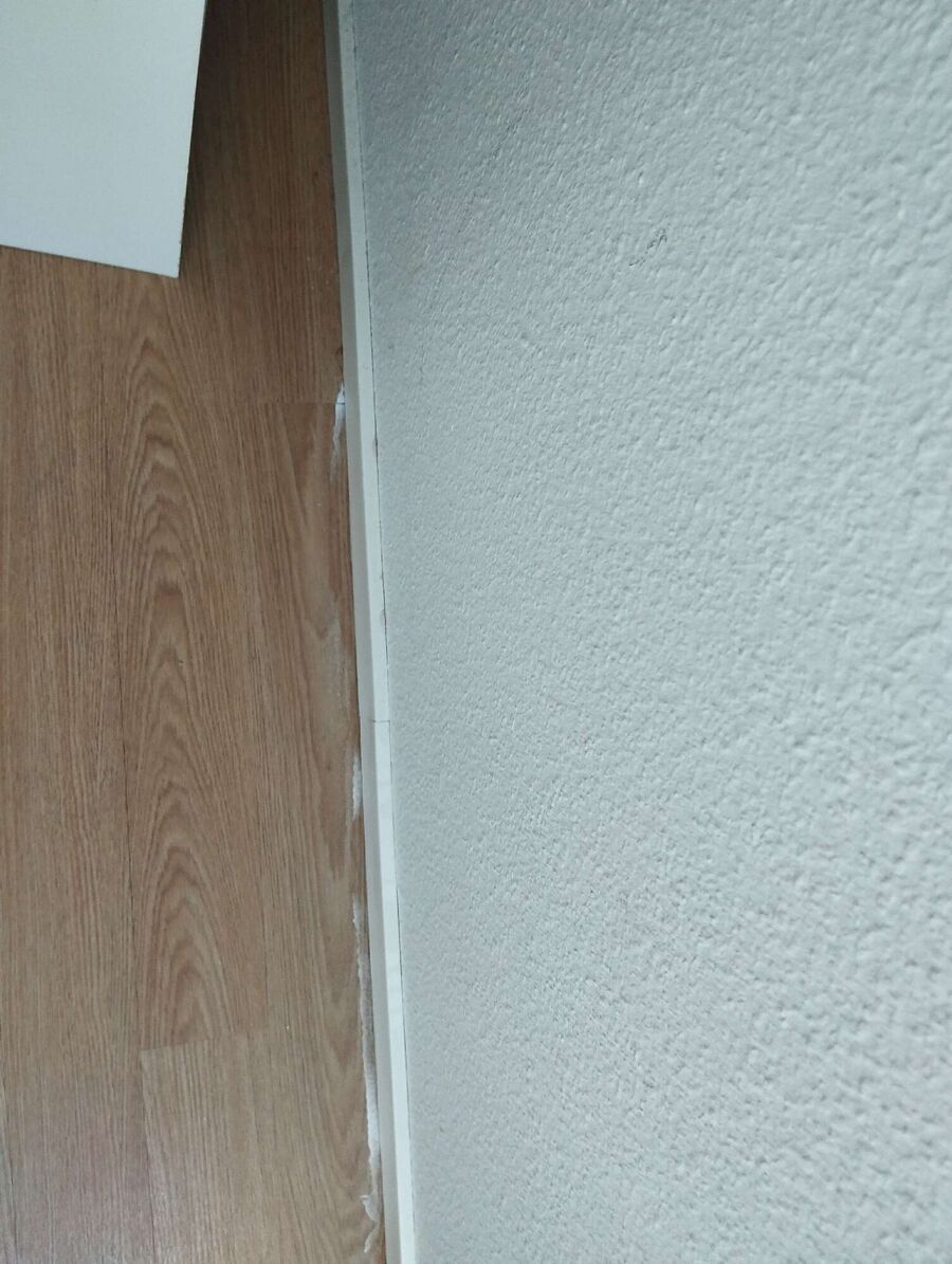 ameisen_vertreiben_bekaempfen_entfernen