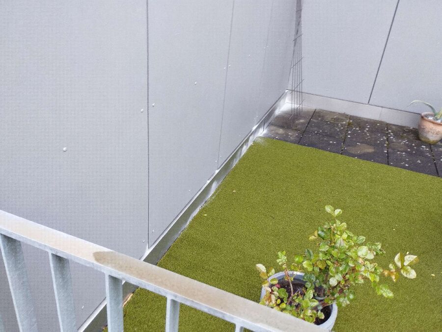 ameisen_vertreiben_bekaempfen_entfernen