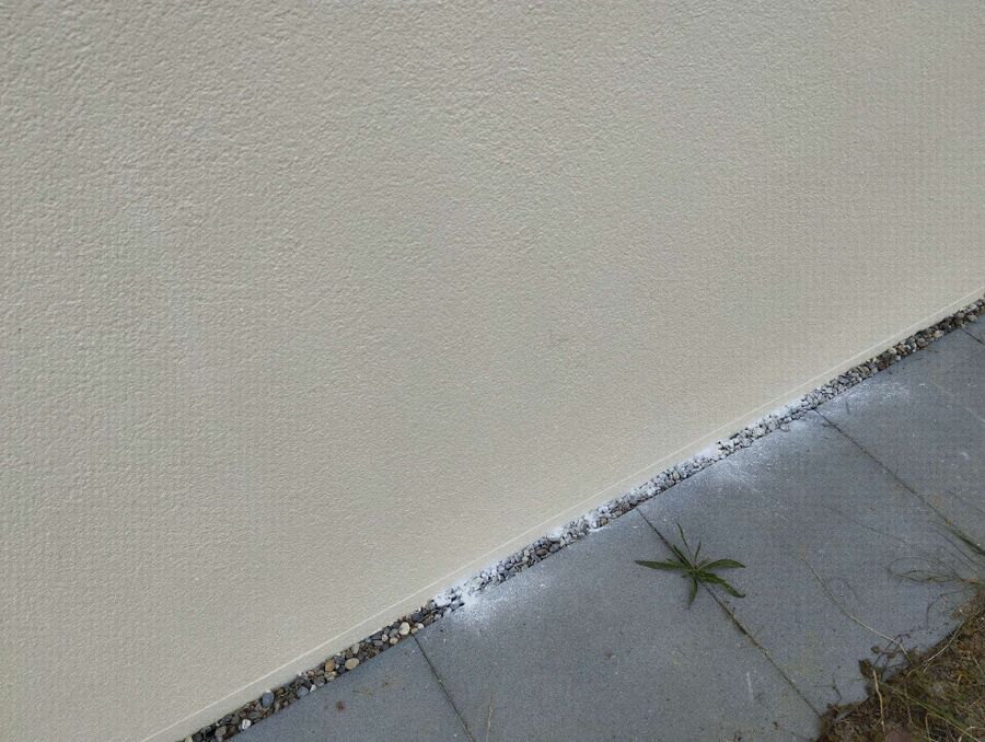 ameisen_vertreiben_bekaempfen_entfernen