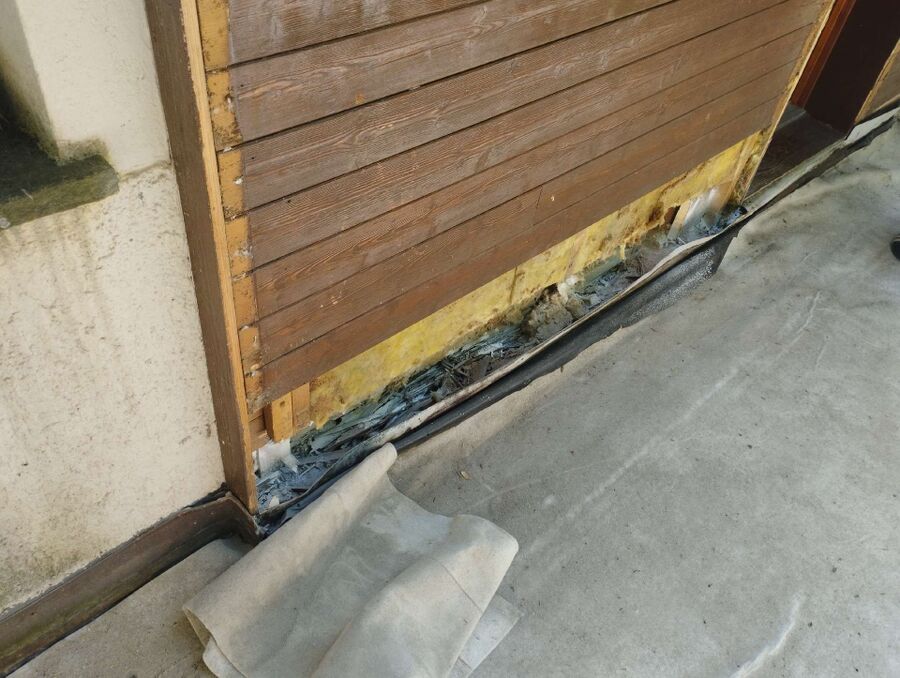 ameisen_vertreiben_bekaempfen_entfernen