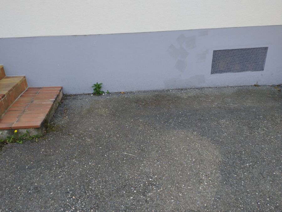 ameisen_vertreiben_bekaempfen_entfernen