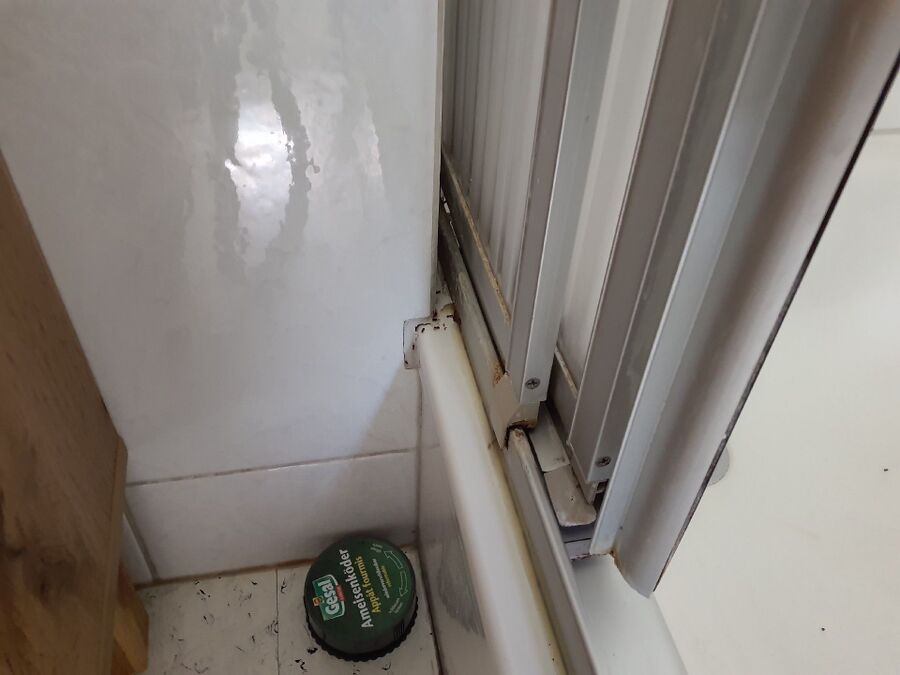 ameisen_vertreiben_bekaempfen_entfernen