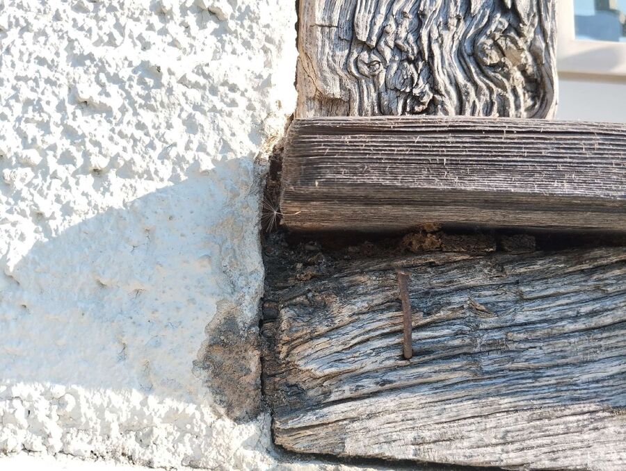 ameisen_vertreiben_bekaempfen_entfernen