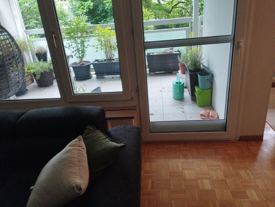 ameisen_vertreiben_bekaempfen_entfernen