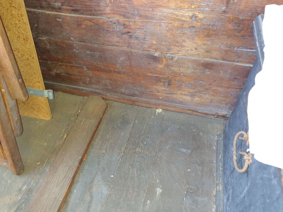 ameisen_vertreiben_bekaempfen_entfernen