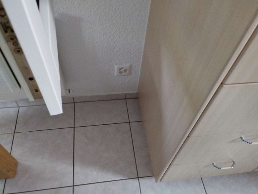 ameisen_vertreiben_bekaempfen_entfernen