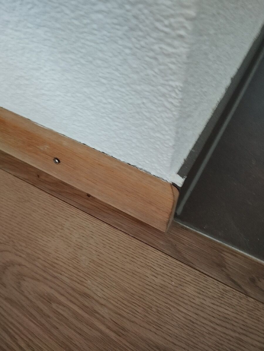 ameisen_vertreiben_bekaempfen_entfernen