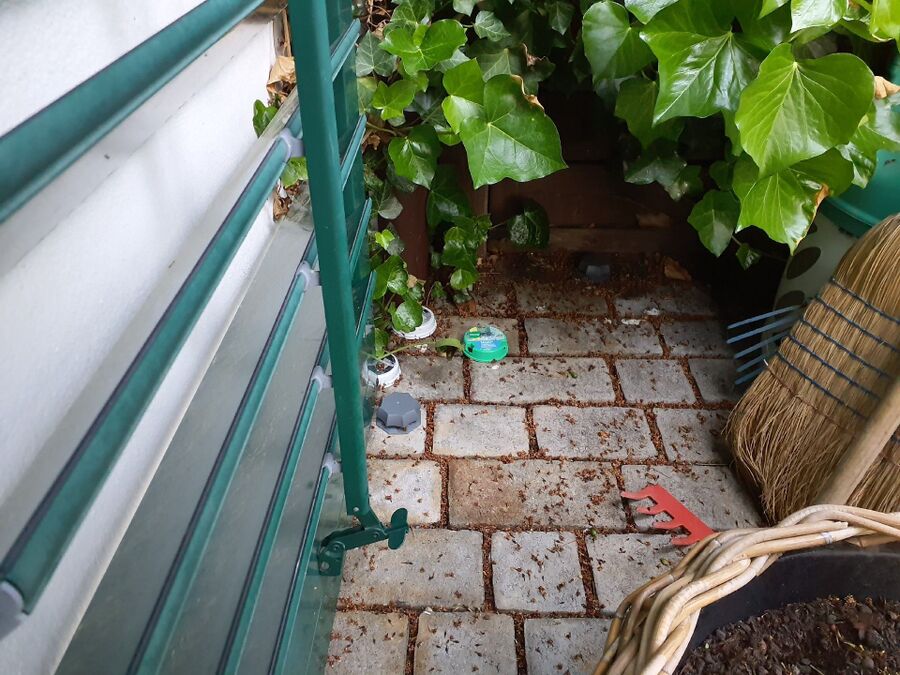 ameisen_vertreiben_bekaempfen_entfernen