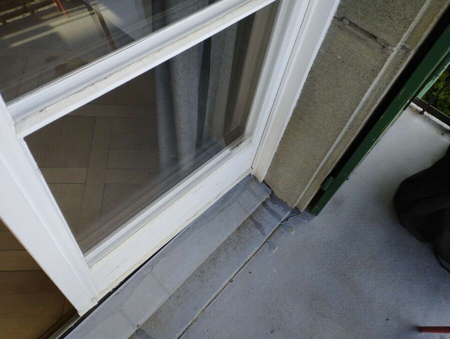 ameisen_vertreiben_bekaempfen_entfernen