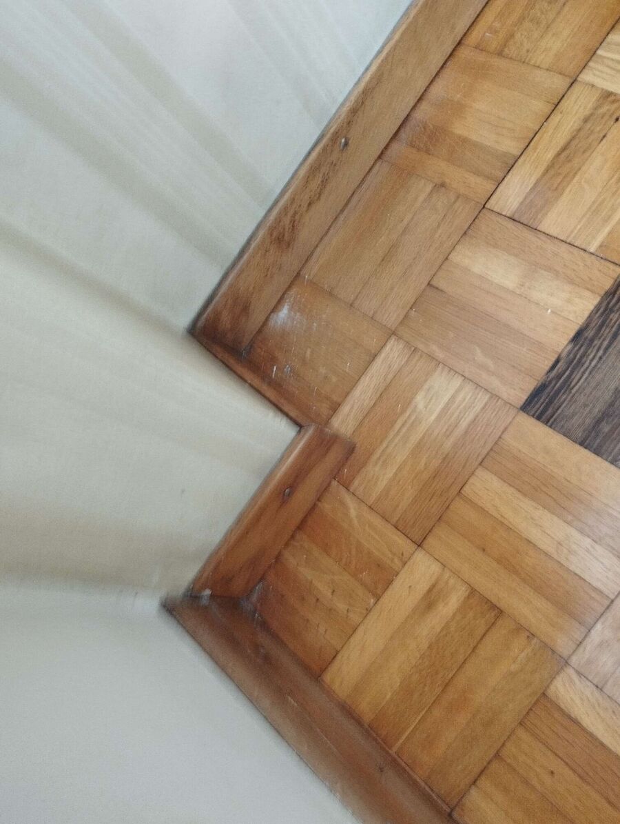 ameisen_vertreiben_bekaempfen_entfernen