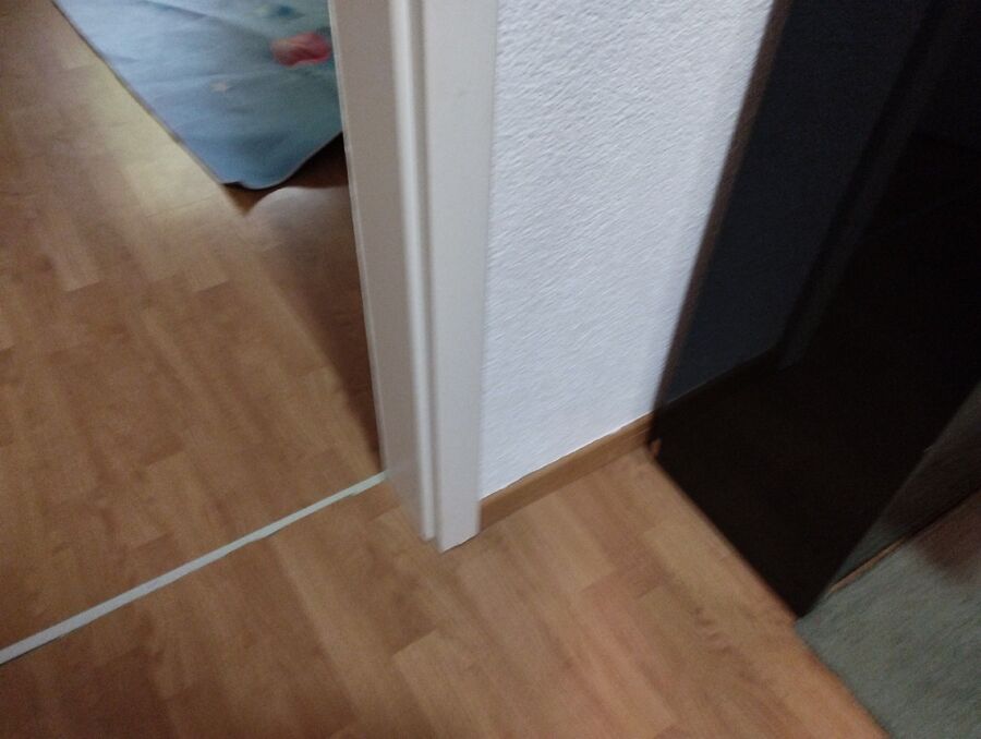 ameisen_vertreiben_bekaempfen_entfernen