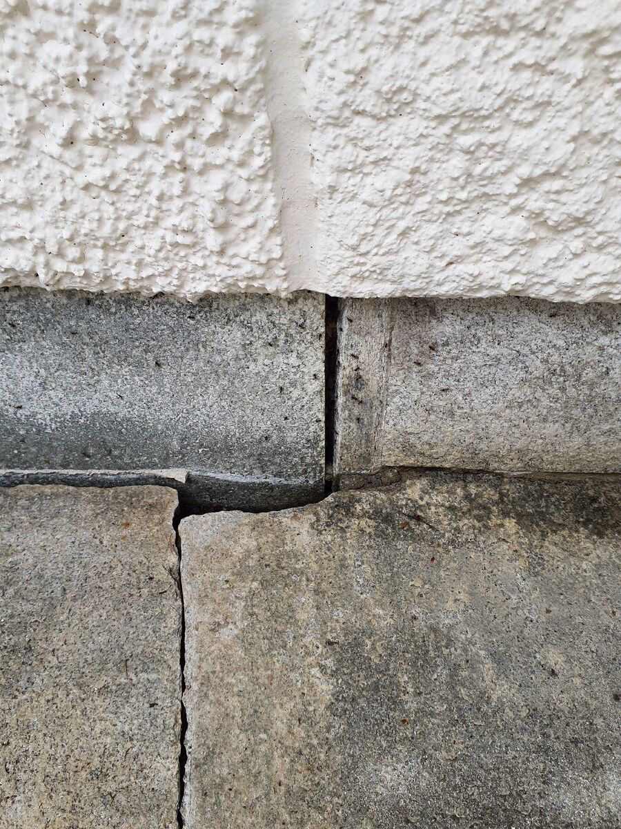 ameisen_vertreiben_bekaempfen_entfernen