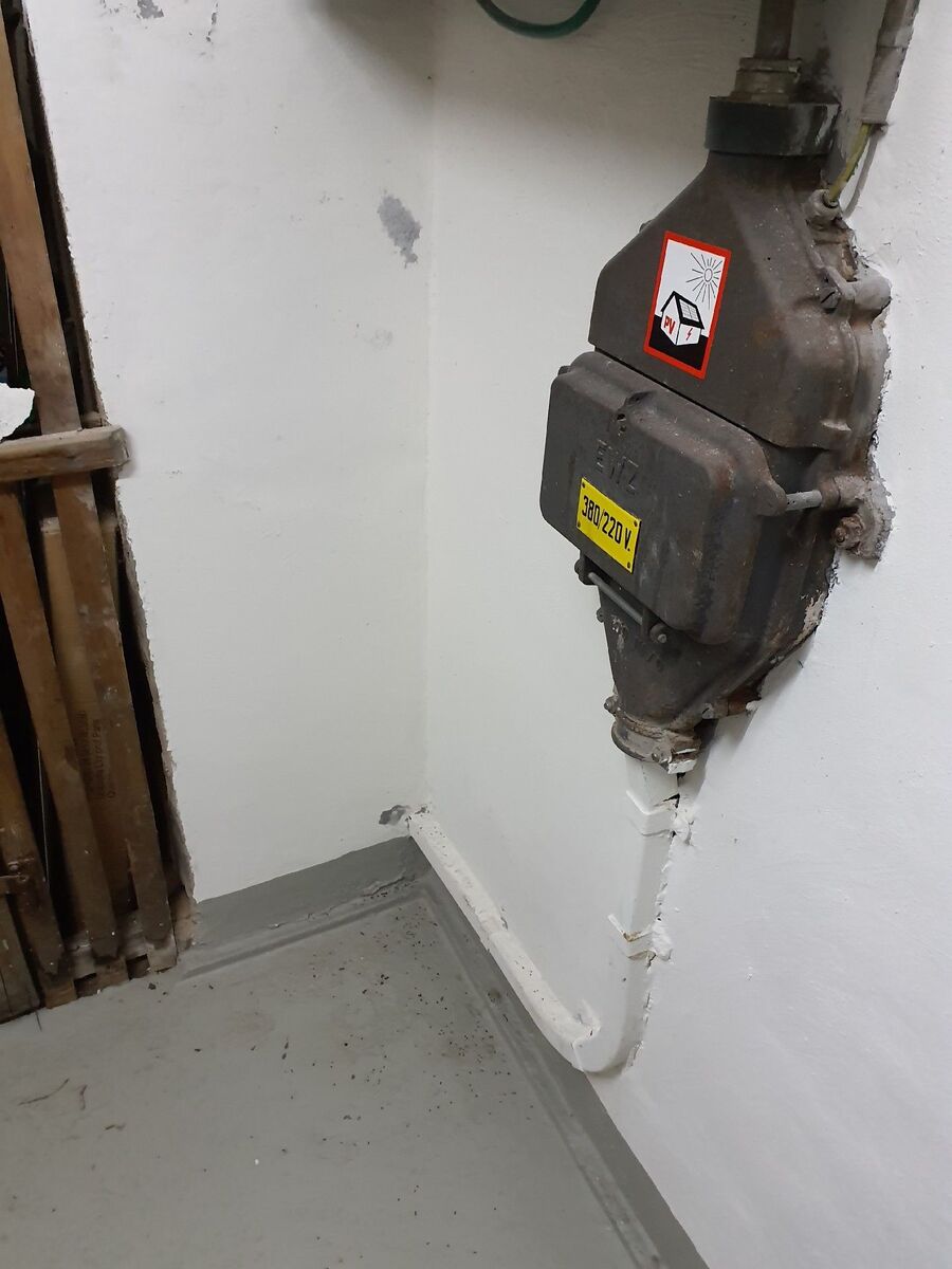 ameisen_vertreiben_bekaempfen_entfernen