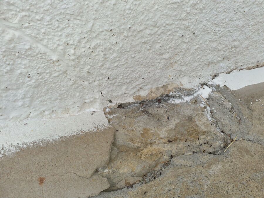 ameisen_vertreiben_bekaempfen_entfernen