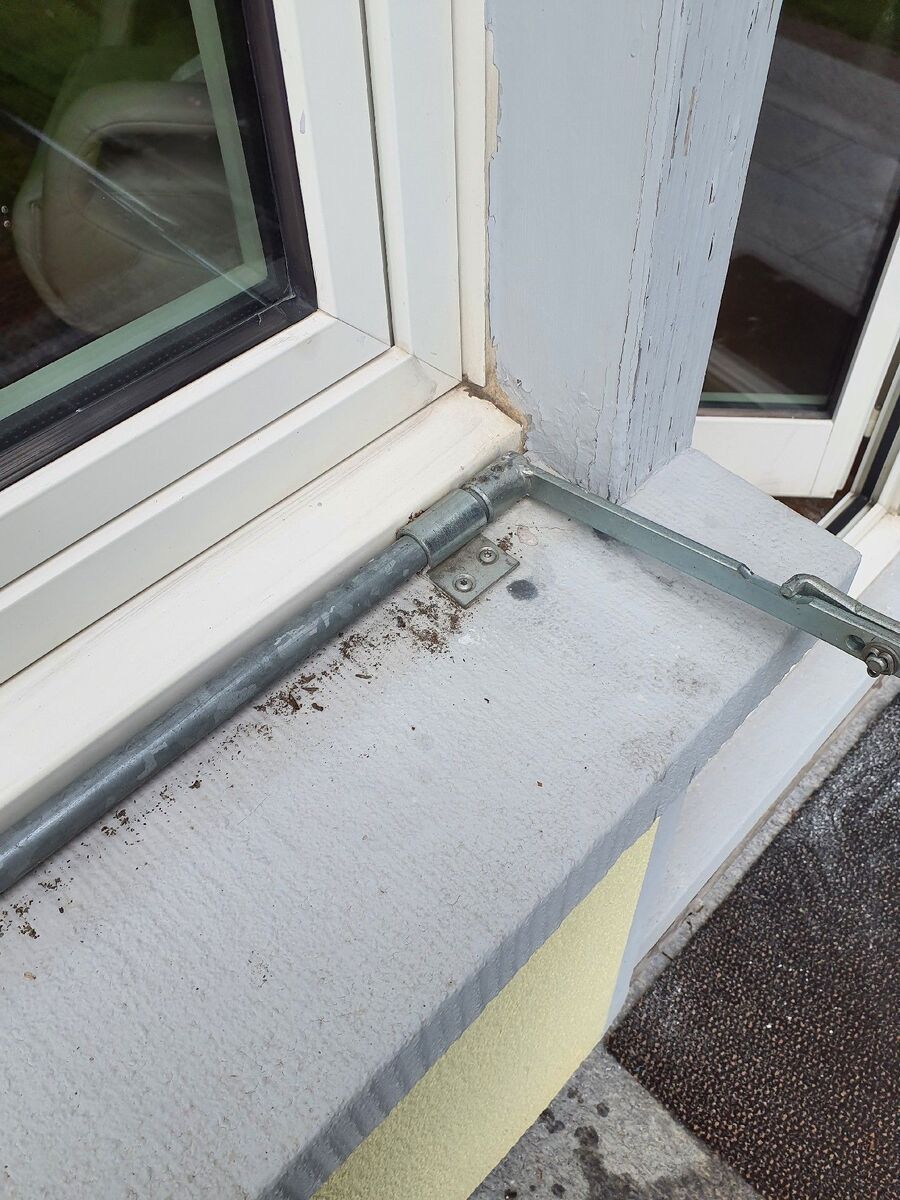 ameisen_vertreiben_bekaempfen_entfernen