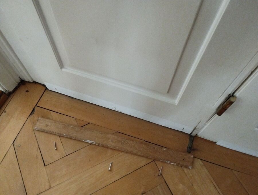 ameisen_vertreiben_bekaempfen_entfernen