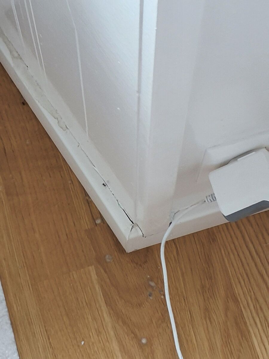 ameisen_vertreiben_bekaempfen_entfernen