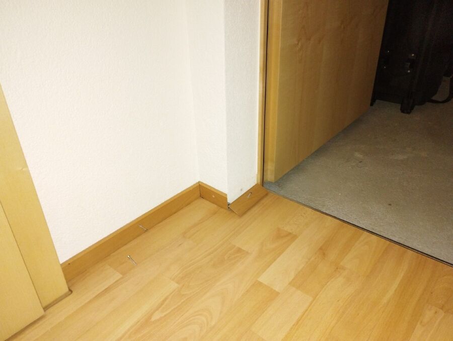 ameisen_vertreiben_bekaempfen_entfernen