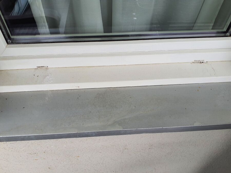 ameisen_vertreiben_bekaempfen_entfernen