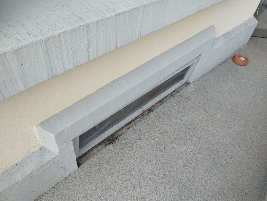 ameisen_vertreiben_bekaempfen_entfernen