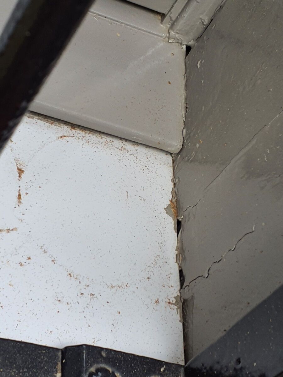 ameisen_vertreiben_bekaempfen_entfernen