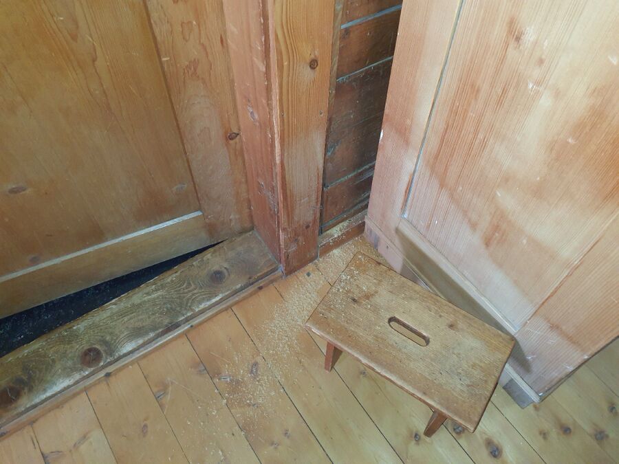 ameisen_vertreiben_bekaempfen_entfernen