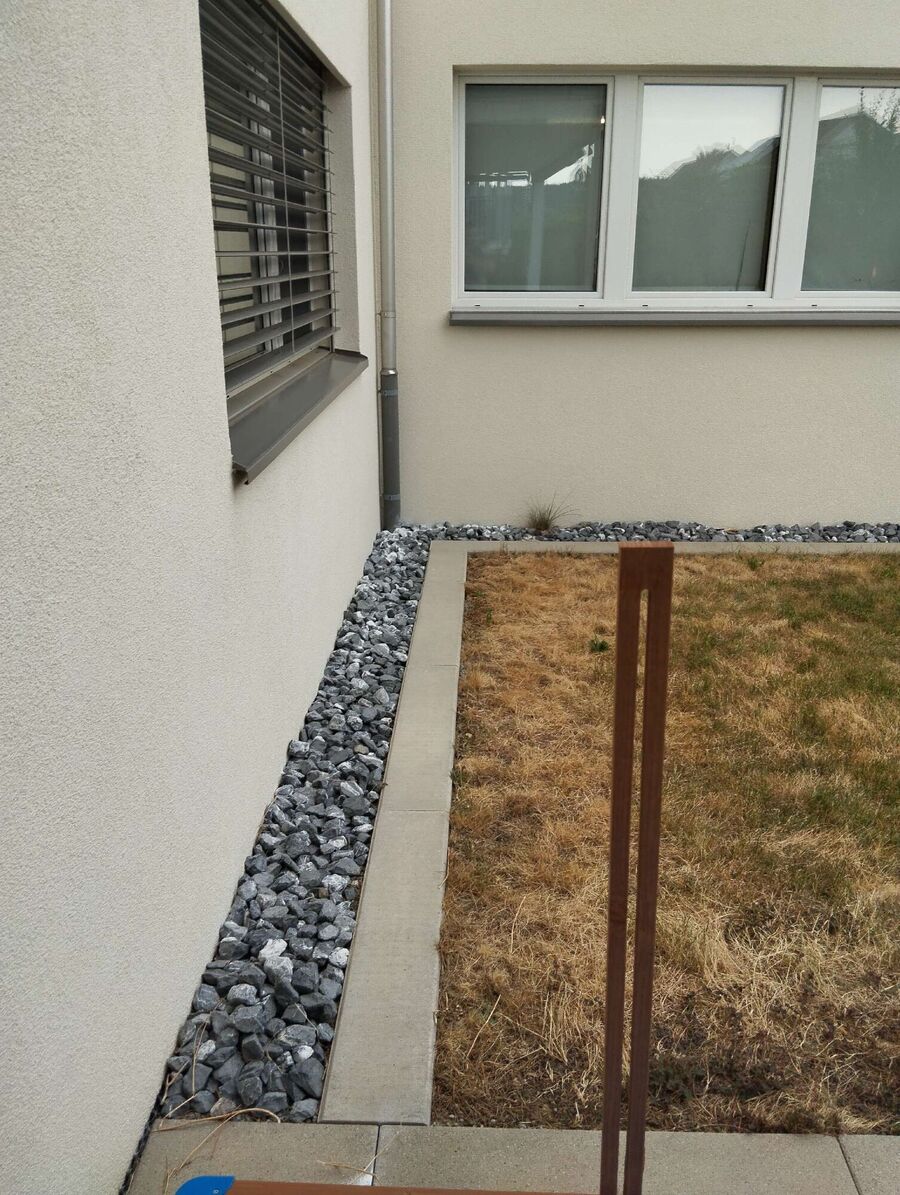 ameisen_vertreiben_bekaempfen_entfernen